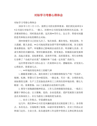 对标学习考察心得体会 