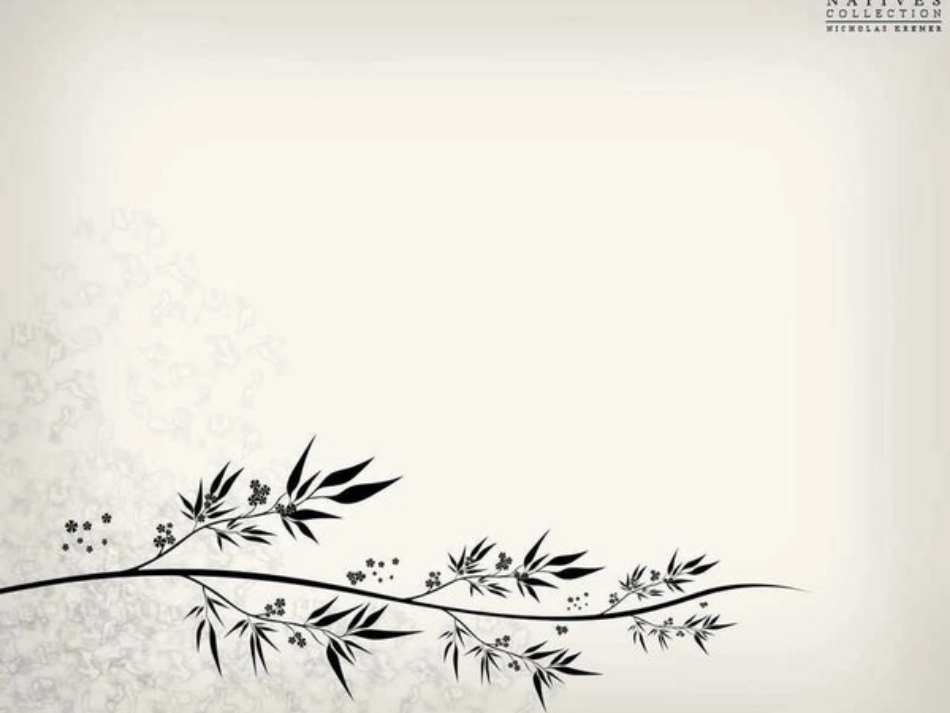 PPT精美课件模版_第2页