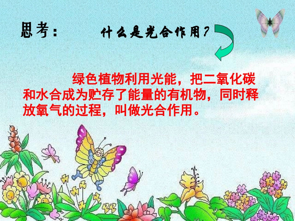 生物：第6章植物的光合作用和呼吸作用复习课件（苏教版七年级上）_第2页