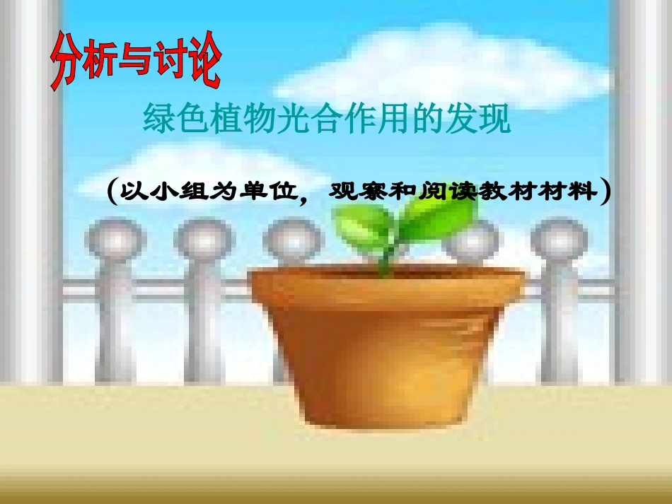 生物：第6章植物的光合作用和呼吸作用复习课件（苏教版七年级上）_第3页