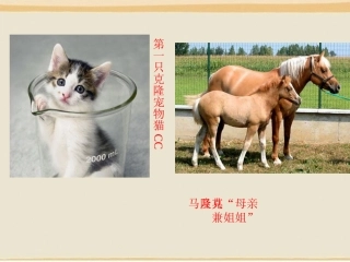 奇妙的克隆课件