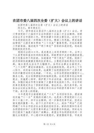 在团市委八届四次全委（扩大）会议上的讲话发言