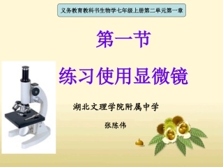学院附中张陈伟练习使用显微镜说课115