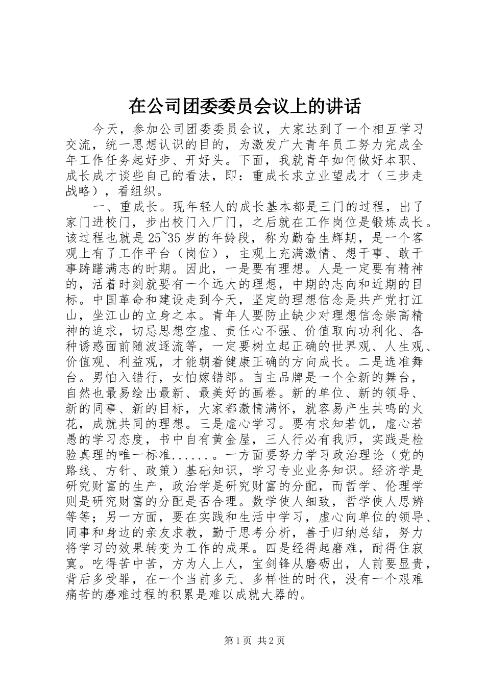 在公司团委委员会议上的讲话发言_第1页