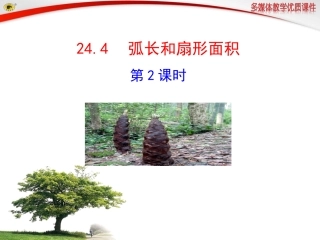 弧长和扇形面积第课时