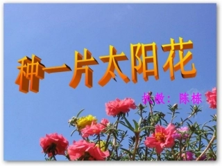 【种一片太阳花(北师大版下册)PPT课件