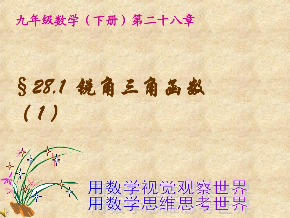 《锐角三角函数3》课件_第1页