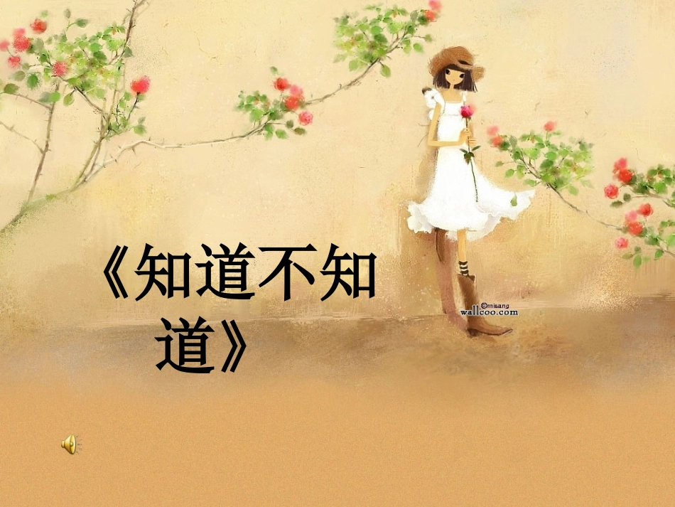《康定情歌》_第3页