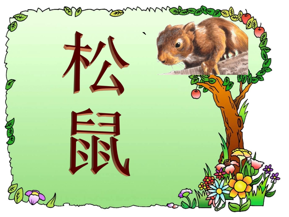 北师版小学三年级语文松鼠1_第3页