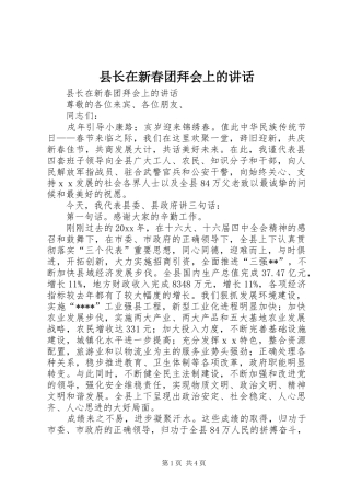 县长在新春团拜会上的讲话发言