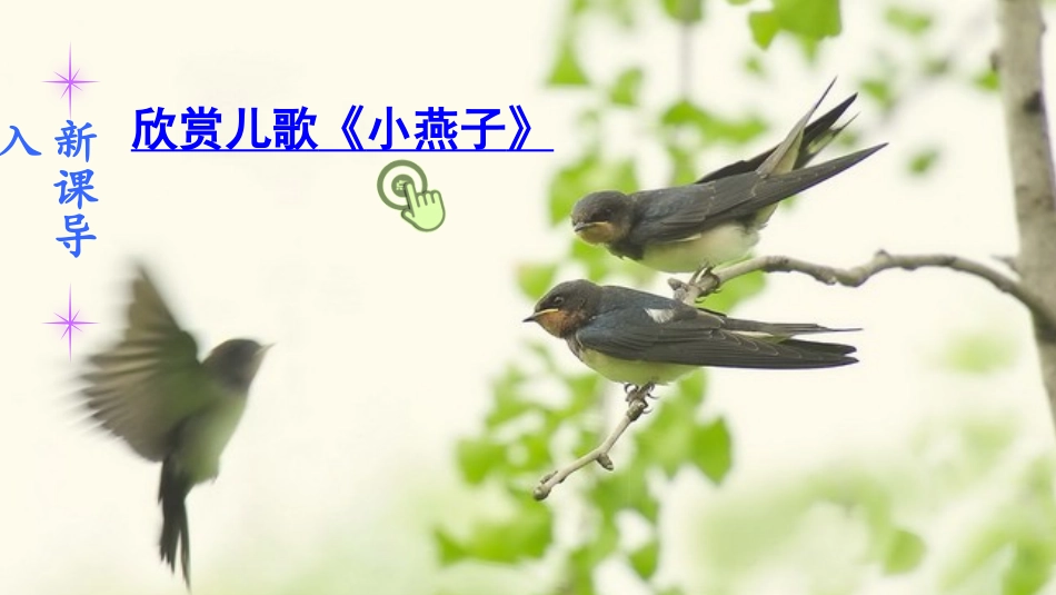 部编版三年级下册燕子_第1页