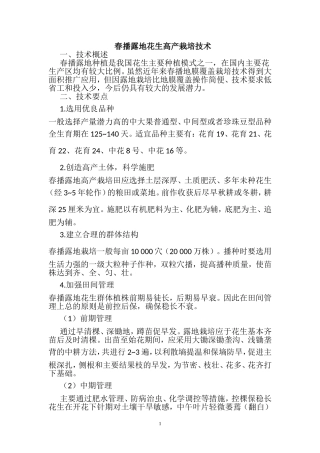 花生高产栽培技术