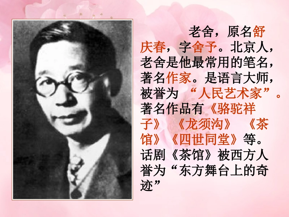 七年级语文上册第10课《济南的冬天》课件语文版_第2页