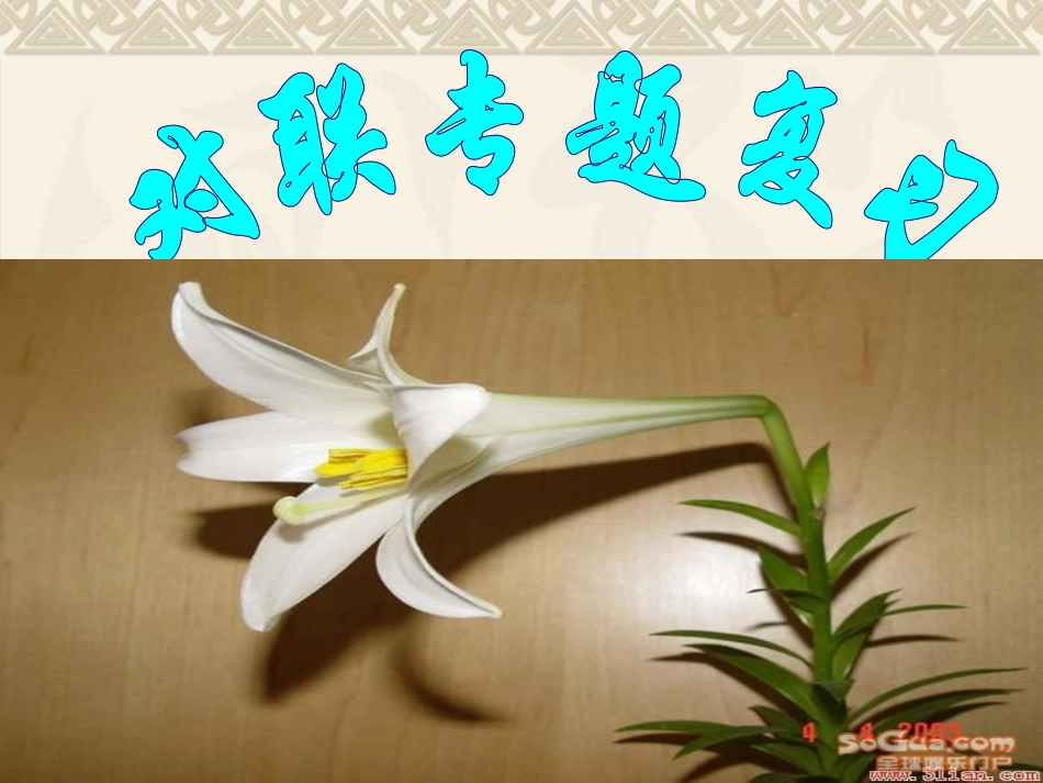 对联专题复习_第1页