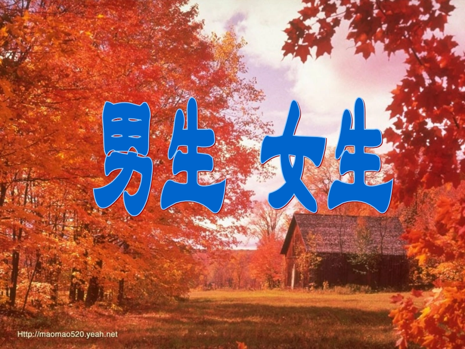 男生女生课件_第1页