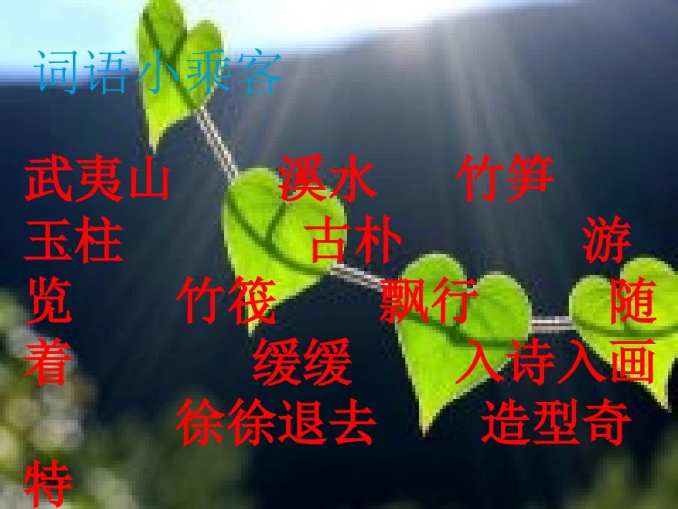 《美丽的武夷山》课件_第2页