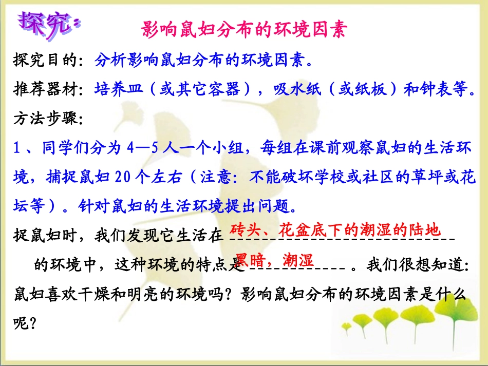 《生物与环境的关系》参考课件_第3页