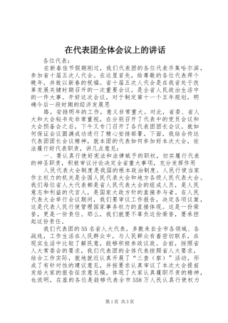 在代表团全体会议上的讲话发言