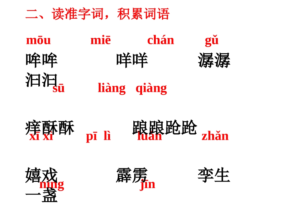 玉珍公开课《盲孩子和他的影子》教学_第3页