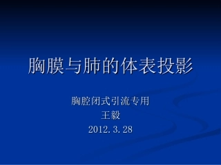 胸膜腔的体表投影