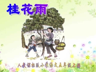 桂花雨_PPT课件