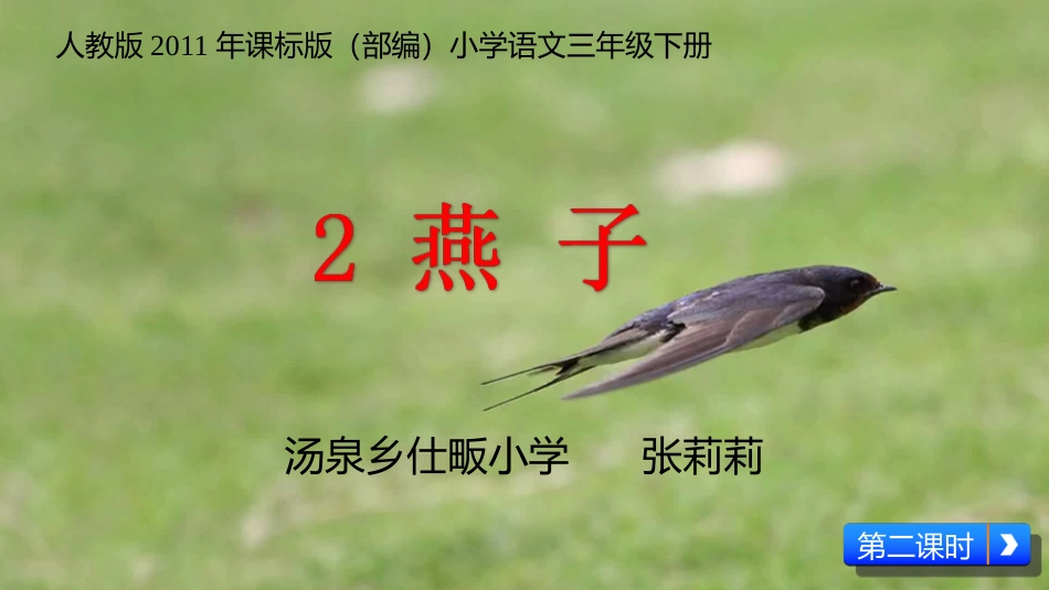 三年级下册燕子_第1页