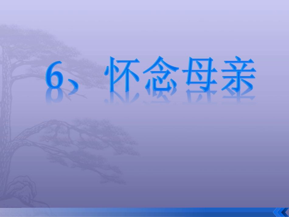 怀念母亲 (2)_第1页