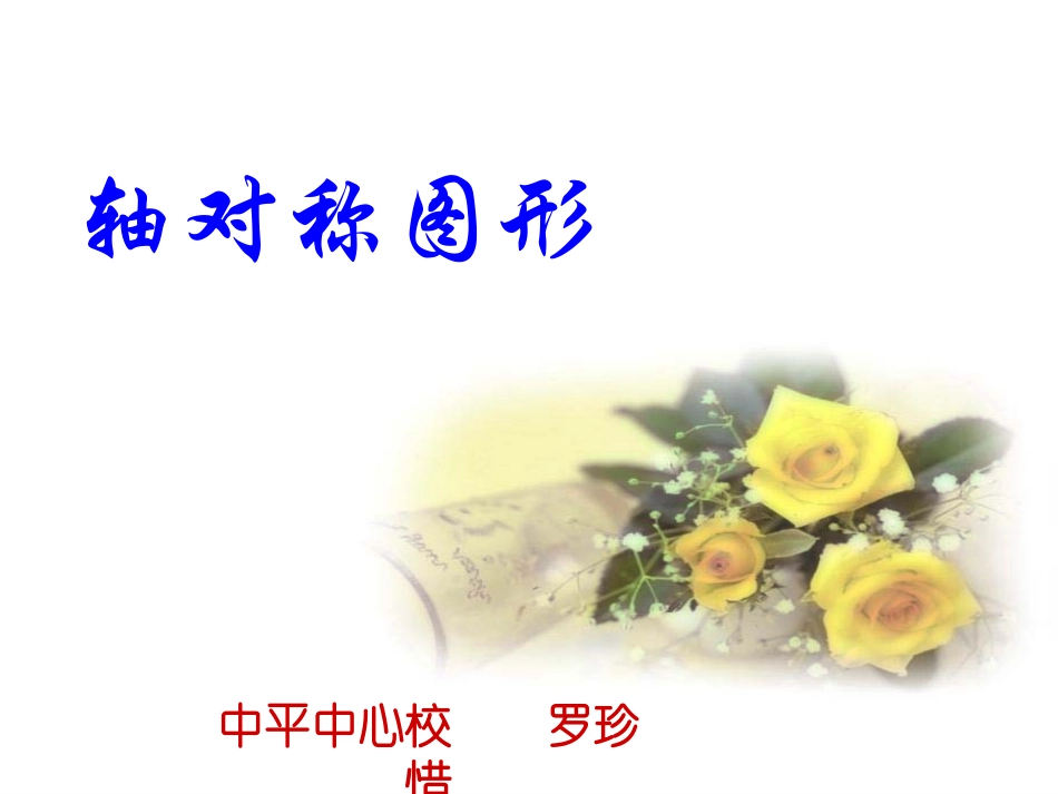 罗珍惜——轴对称_第1页