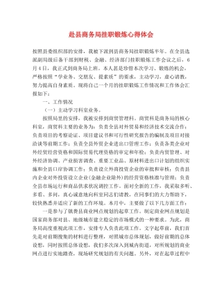 赴县商务局挂职锻炼心得体会 