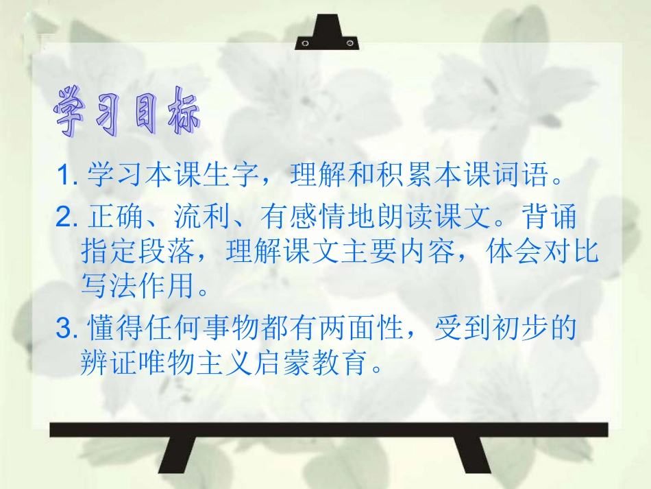 《假如没有灰尘》课件3_第2页