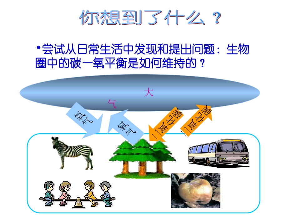 陈蓓八年级生物上册（182）课件_第2页