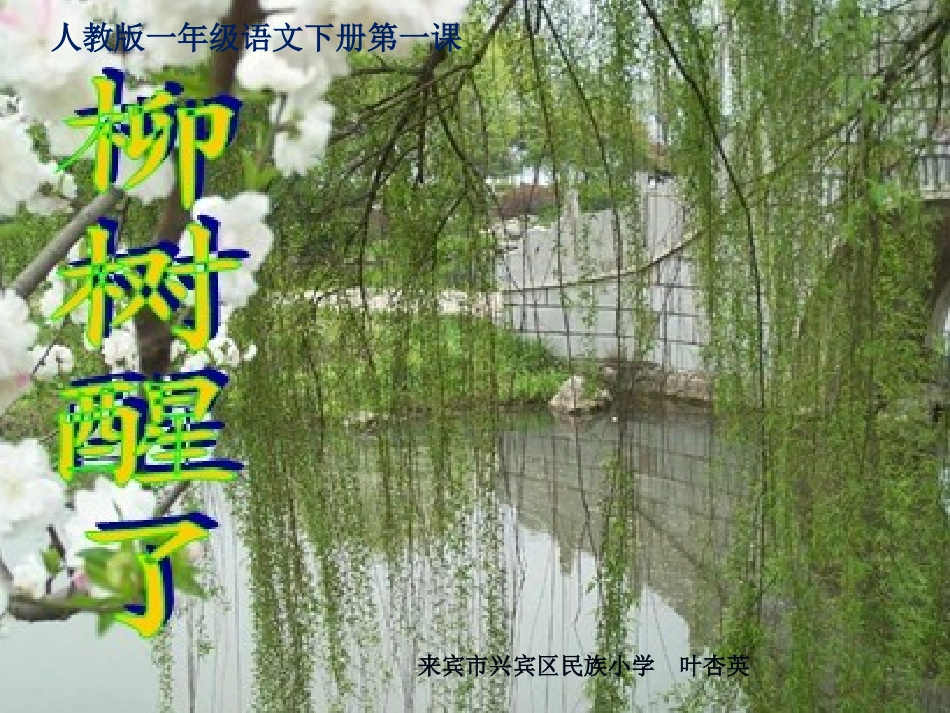 人教版一年级语文下册《柳树醒了》课件_第1页