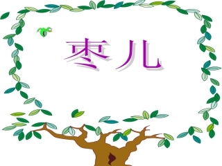 《枣儿》课件