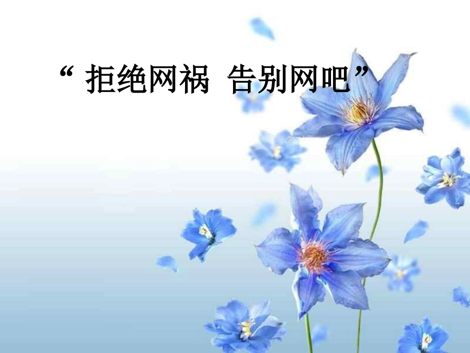 上网的危害 (2)_第1页