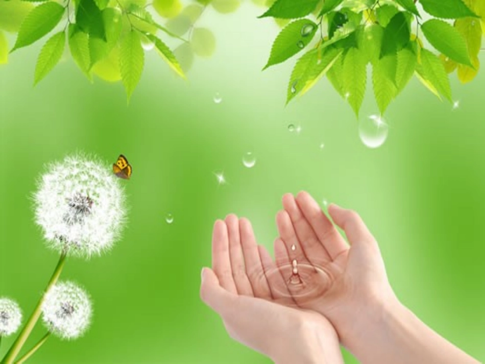 清新秀丽PPT模版_第3页