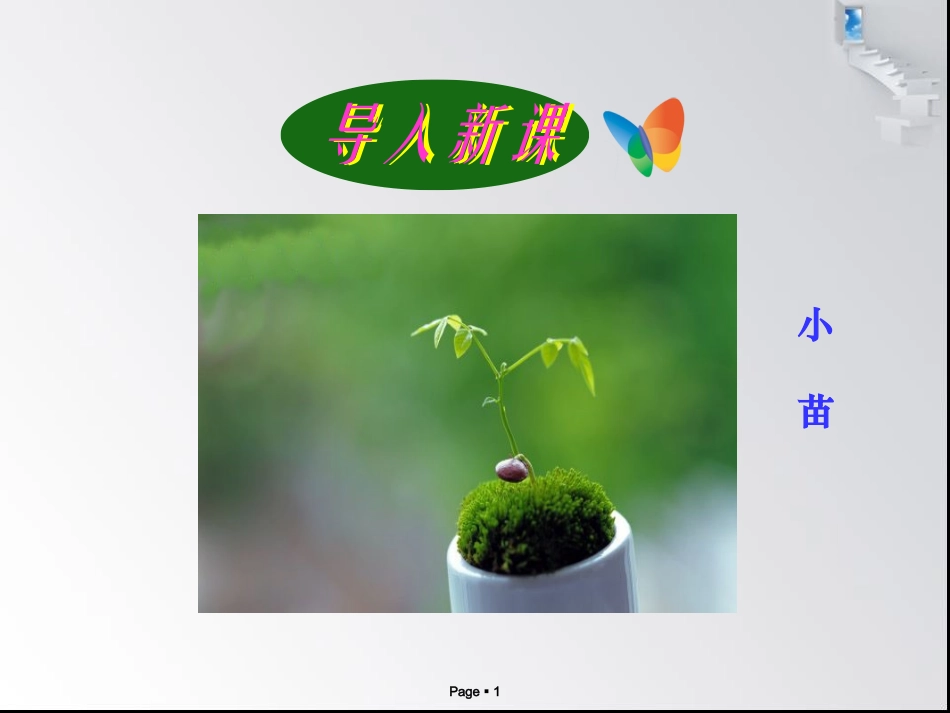小苗和大树的对话_第1页
