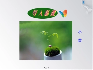 小苗和大树的对话