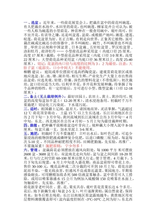 盆栽荷花的技艺(柳家花园)