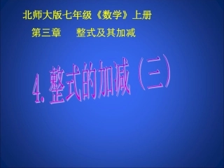 整式的加减（3）