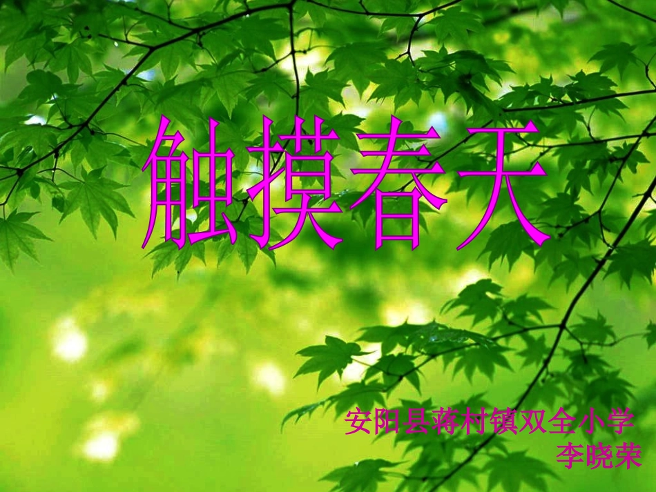 触摸春天课件_第1页