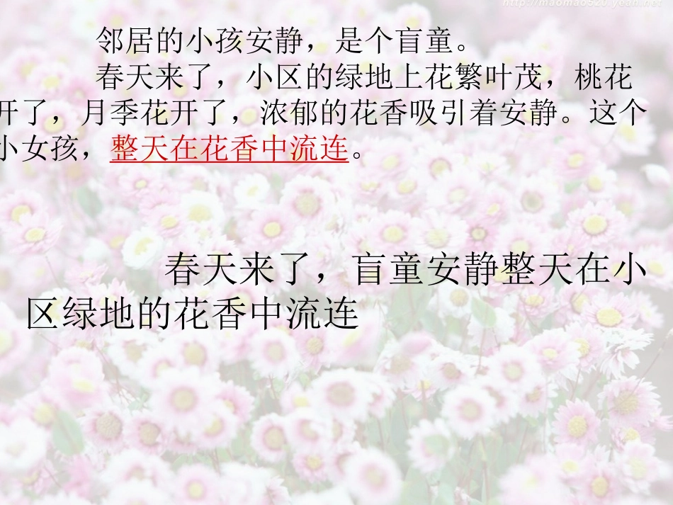 触摸春天课件_第3页