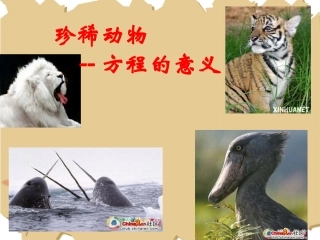 (用)小学数学五年级简易方程课件