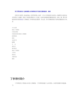 新县丁李湾村