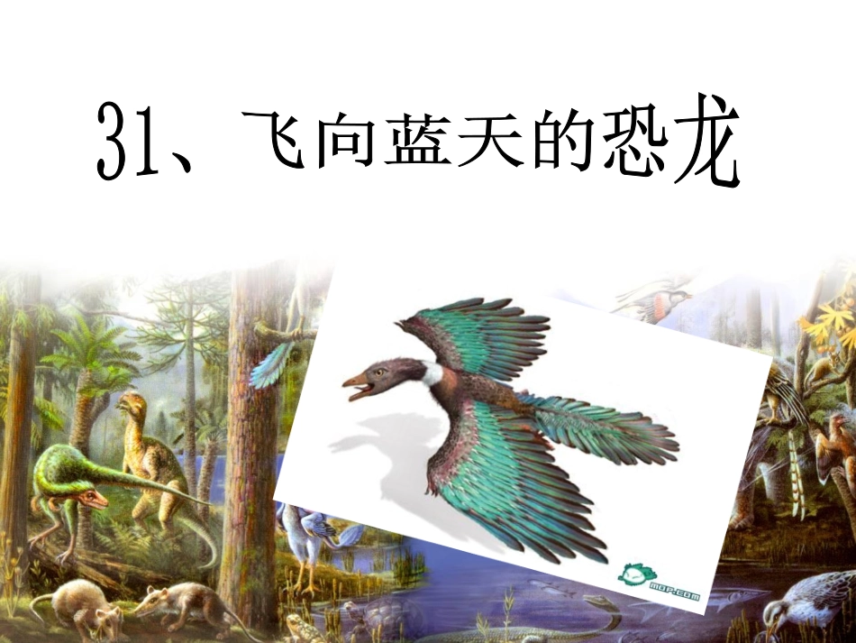飞向蓝天的恐龙完美版_第1页
