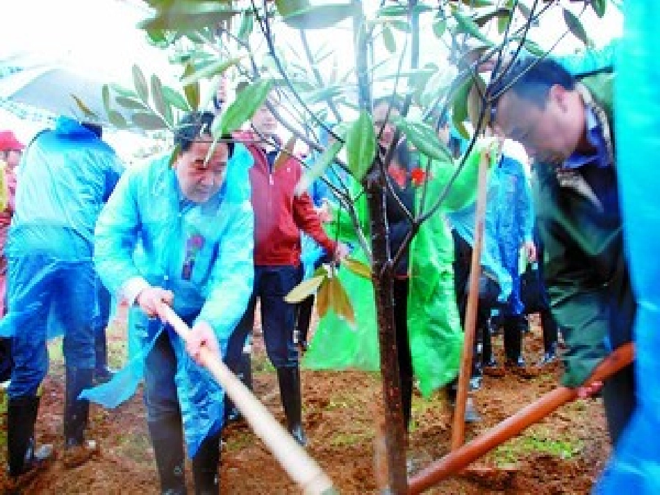 植树问题重点_第3页