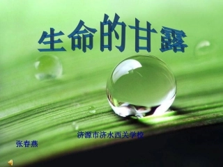 生命的甘露春燕