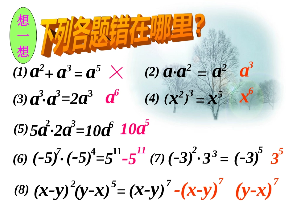 整式乘法复习_第2页