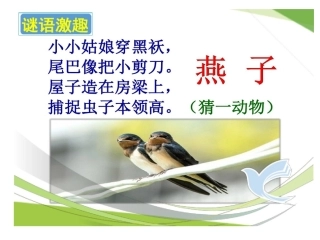 小学语文三年下册《燕子》