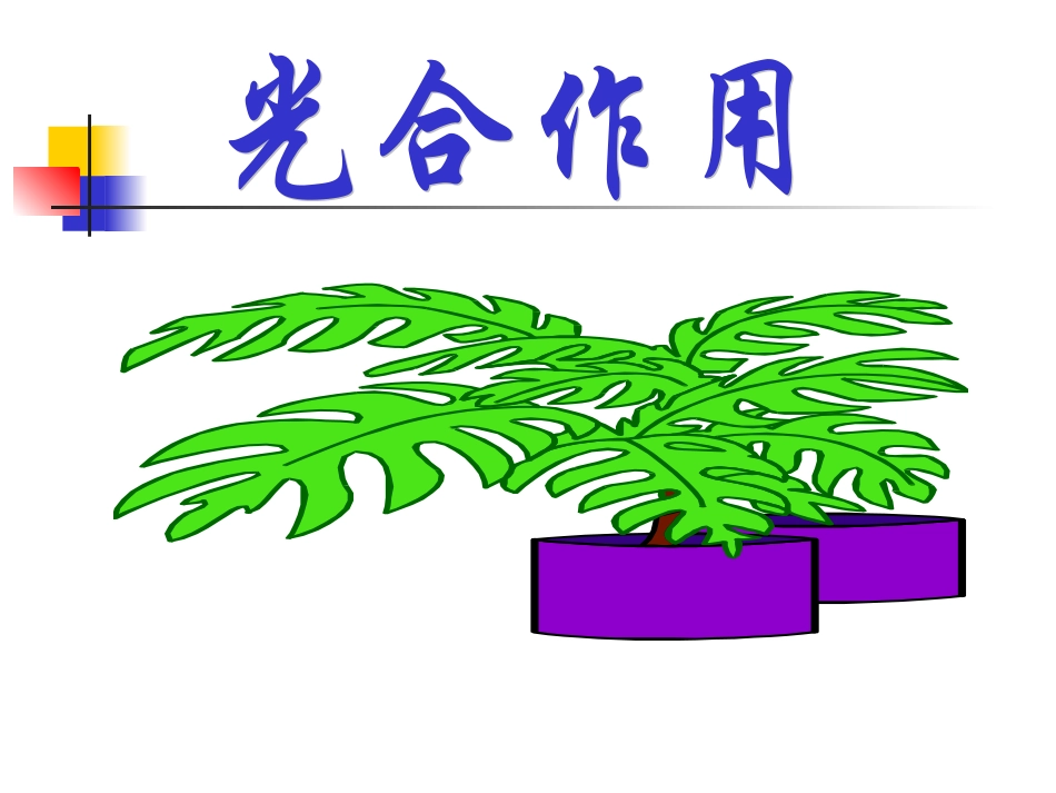 光合作用课件演示文稿_第1页