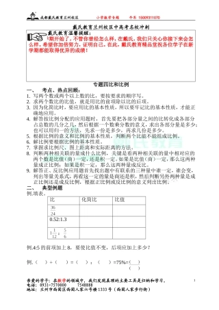 专题四比和比例